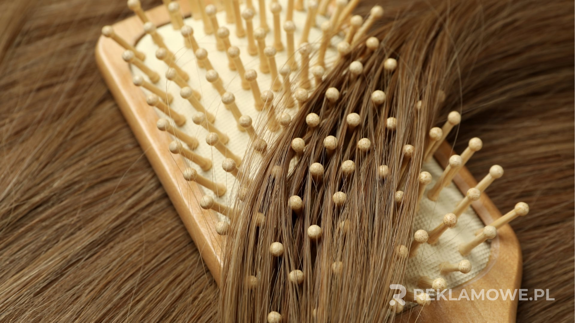 Szczotki reklamowe i ich wpływ na wizerunek marki